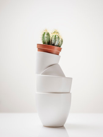 Stacked Ceramic Bowls with Mini Cactus on White Background for Concepts of Eco-Friendly Home Decor, Indoor Plant Styling, Green Living Trends, Sustainable Interior Brandingの写真素材