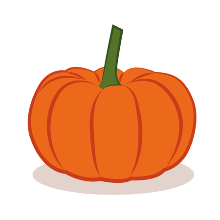 orange pumpkin vegetable autumn graphic vector illustration EPS10のイラスト素材