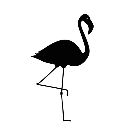 flamingo silhouette isolated on white background vector illustration EPS10の写真素材
