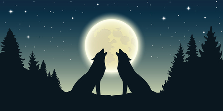 two wolves howl at the full moon in forest landscape vector illustration EPS10のイラスト素材