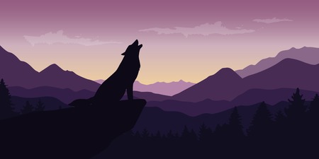 wolf at beautiful purple mountain wildlife nature landscape vector illustration EPS10のイラスト素材