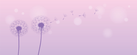 dandelion silhouette with flying seeds on bright purple background vector illustration EPS10のイラスト素材