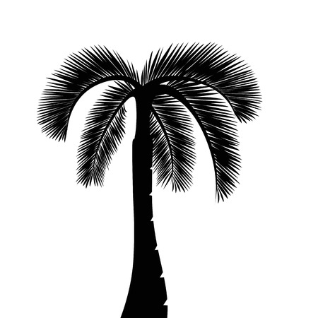 palm tree silhouette isolated on white background vector illustration EPS10のイラスト素材