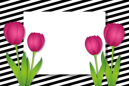 black and white striped card with pink tulips vector illustration EPS10のイラスト素材