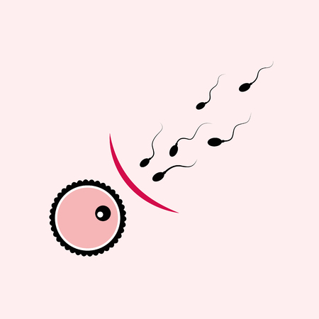 contraception egg and sperm concept vector illustration EPS10のイラスト素材