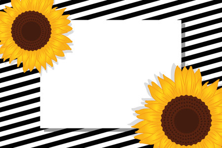 black and white striped card with sunflowers vector illustration EPS10のイラスト素材