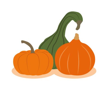 three different pumpkins isolated on white background vector illustration EPS10のイラスト素材