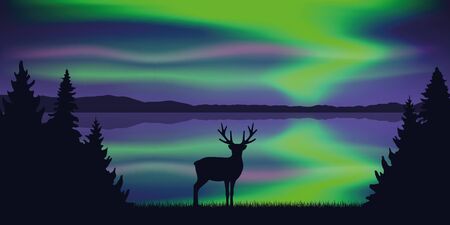 wildlife deer by the lake with beautiful polar lights in the sky vector illustration EPS10のイラスト素材