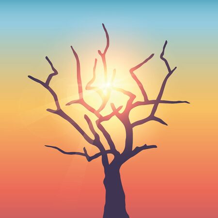 big bare tree in sunny colorful sky vector illustration EPS10のイラスト素材