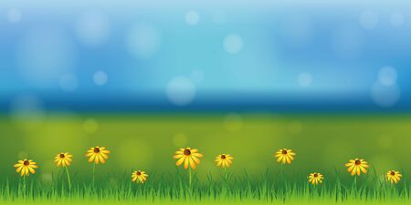sunny spring background with daisy flower on green meadow vector illustration EPS10のイラスト素材