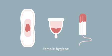 female hygiene products women uterus sanitary napkin tampon
