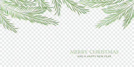 christmas winter background fir branches isolated transparentのイラスト素材