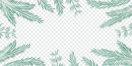 christmas winter background fir branches isolated transparentのイラスト素材