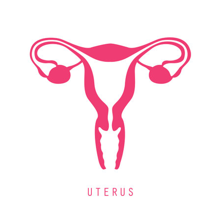 female reproductive system women uterus ovary iconのイラスト素材