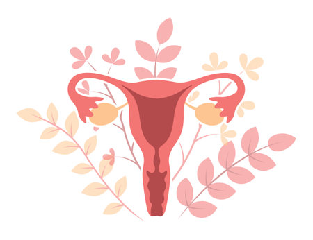female reproductive system women uterus on floral backgroundのイラスト素材