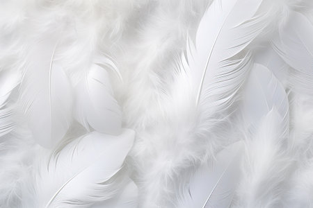 soft feathers background wallpaper close upの素材