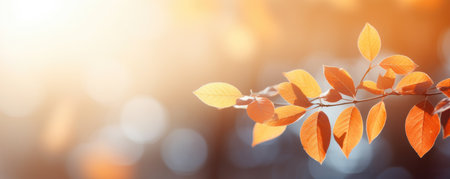 blurry autumn leaf nature backgroundの素材