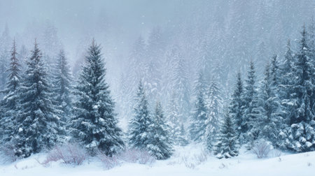 foggy winter forest on snowy dayの素材