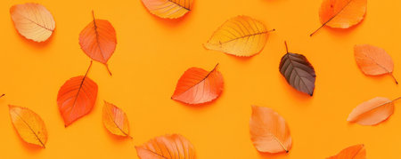 autumn leaves seamless pattern background bannerの素材