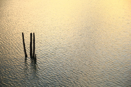 kaijuの写真素材