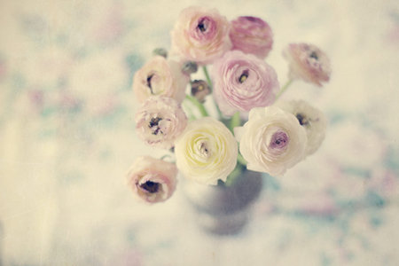 Persian buttercups in a vase