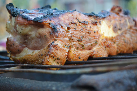 Grilled meat, marinated in honey sauce with spicesの写真素材