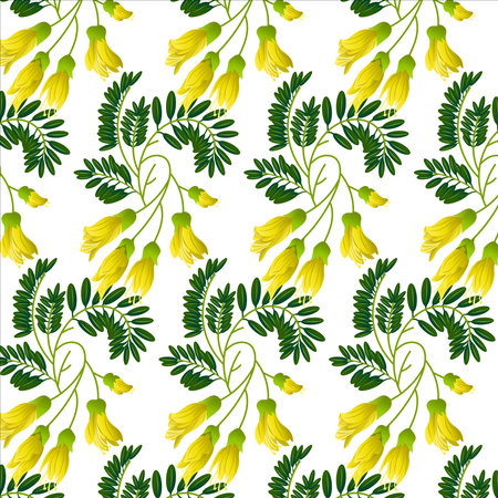 Floral seamless vector pattern of kowhai flowers. Kowhai floral and white background.のイラスト素材