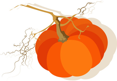 Pumpkin colorful icon. Vector illustration on white background.のイラスト素材