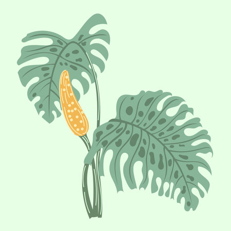 Vector tropical palm leaves. Realistic drawing in vintage style. Isolated on green. Monstera leaves.のイラスト素材