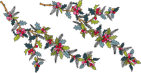 Set of Christmas holly twigs with berries and leaves. Vector illustration.のイラスト素材