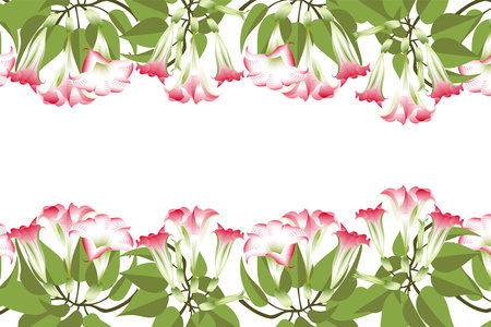 Vector border with brugmansia flowers and leaves.のイラスト素材