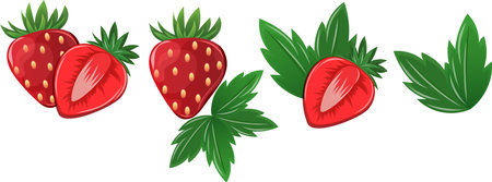 Strawberry illustrations and slices of strawberries. Vector illustration of strawberries. Vector for decorative poster, emblem natural product, farmers market.のイラスト素材
