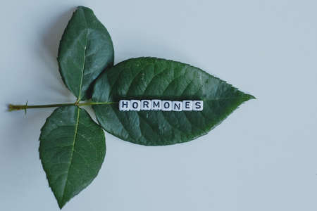 Hormones word cubes on a white backgroundの写真素材