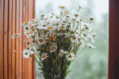 Bouquet of daisies on the background of the windowの写真素材