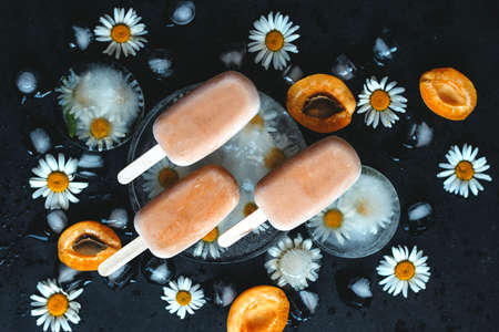 Homemade ice cream on a stick of apricots and yogurt. Healthy eating conceptの写真素材