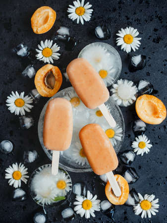 Homemade ice cream on a stick of apricots and yogurt. Healthy eating conceptの写真素材