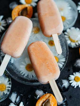 Homemade ice cream on a stick of apricots and yogurt. Healthy eating conceptの写真素材