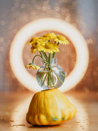 Autumn composition of pumpkins and flowers, with place for text. Greeting card.の写真素材