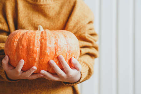 Pumpkin in children's hands, autumn greeting card, with place for text. Thanksgiving Day.の写真素材