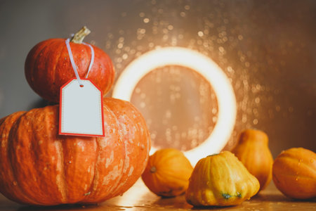 Autumn composition of pumpkins and squash, bokeh background. Greeting card. Thanksgiving Day.