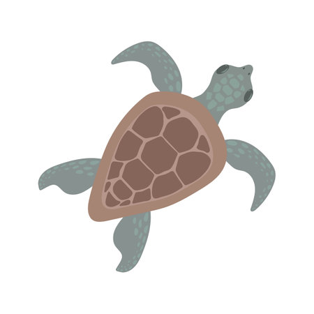 Sea turtle isolated on a white background. Vector illustration in cartoon style.のイラスト素材