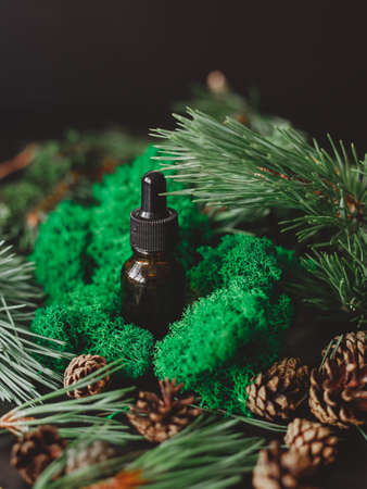 Pine essential oil in a glass brown bottle with a pipette, against the background of pine branches and cones.の写真素材