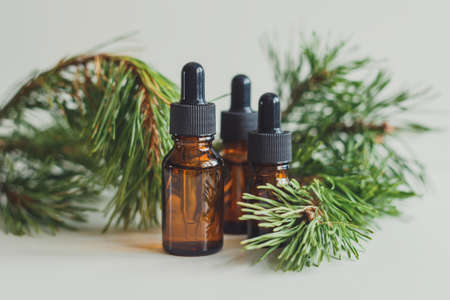 Pine essential oil in a glass brown bottle with a pipette, against the background of pine branchesの写真素材