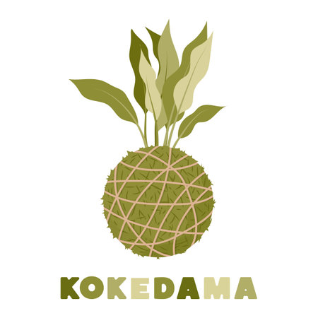 Kokedama plant. exotic tropical plant. vector illustration.のイラスト素材