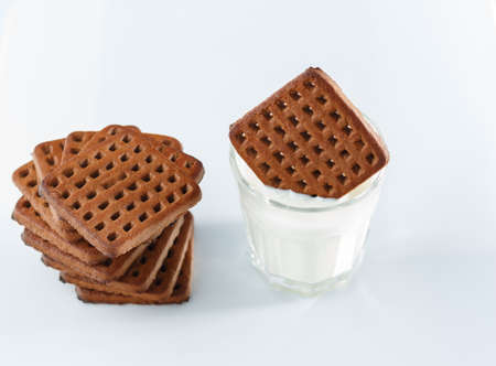 dipping chocolate cookie in glass of milk or kefir, white background. stack of chocolate cookies, selective focusの写真素材