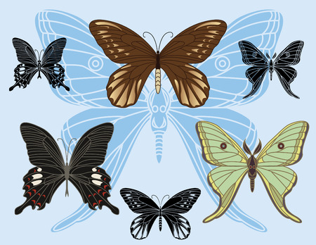 set of colored butterflies and stencils. のイラスト素材
