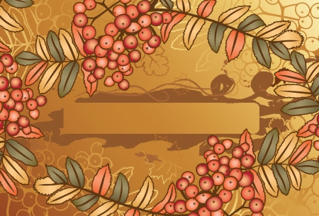 Autumn background with rowan branchesのイラスト素材