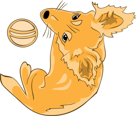Pretty red-haired dog with a ball, color versionのイラスト素材