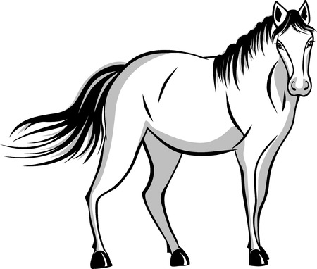 Quietly standing horse. black and gray colorのイラスト素材