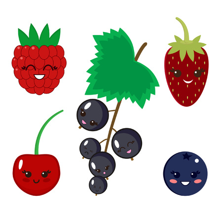 Cute and funny set of vector berries. Strawberry, raspberry, blueberry, cherry, black currant.のイラスト素材